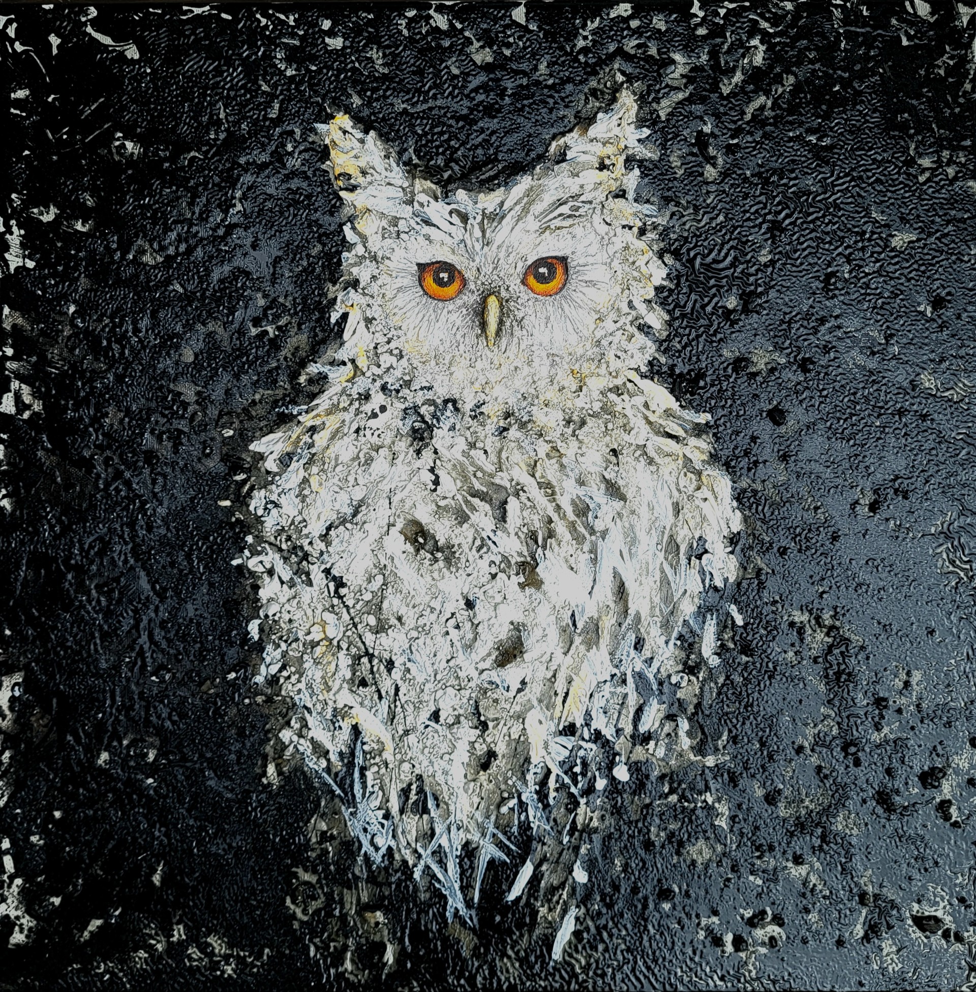 owl